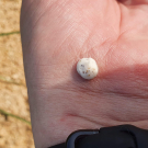 Swatch de yes123 : Routine beauté CYFOLIA BIO, Phytomer