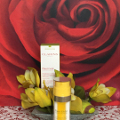 Swatch de Hana55 : Plant Gold - L'Or des Plantes, Clarins