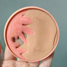 Swatch de lucie1998 : Terre Indienne, Gemey-Maybelline