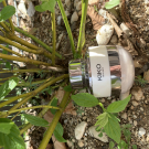 Swatch de LauryyC : Invisible Powder, Kiko