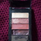 Swatch de camcan1401 : La petite palette, L'Oréal & Rowenta Salon