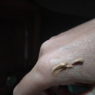 Swatch de AliceMerveilles : BB Peau Parfaite, Yves Rocher