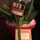 Swatch de Gg59200 : Baume de Rosée Rosa Fresca Bio, Sanoflore