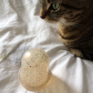 Swatch de GuntilipsSkincare : Cellu-cup - Outil de massage en silicone, Cellu-cup Colorchange