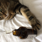 Swatch de GuntilipsSkincare : Huile de thé blanc, Make It Beauty