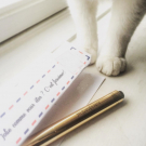 Swatch de GuntilipsSkincare : Touche Eclat, Yves Saint Laurent