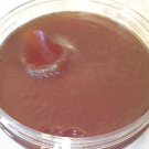 Swatch de FluR66 : Savon Noir Hammam, Emma Noël