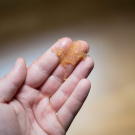 Swatch de anthopomblog : Brown Sugar Body Polish - Gommage pour le corps au sucre roux, Fresh