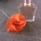 Swatch de roxieba : Irresistible Givenchy - Eau de Parfum, Givenchy