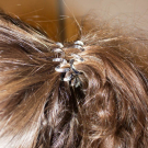 Swatch de Hanadii : Invisibobble Élastique Cheveux Invisible, Invisibobble