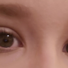 Swatch de Annna : Naked 3 Palette, Urban Decay