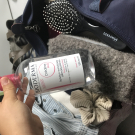 Swatch de ma_mpt : Créaline H2O Solution Micellaire Démaquillante, Bioderma