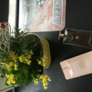 Swatch de nana05031983 : Idôle, Lancôme