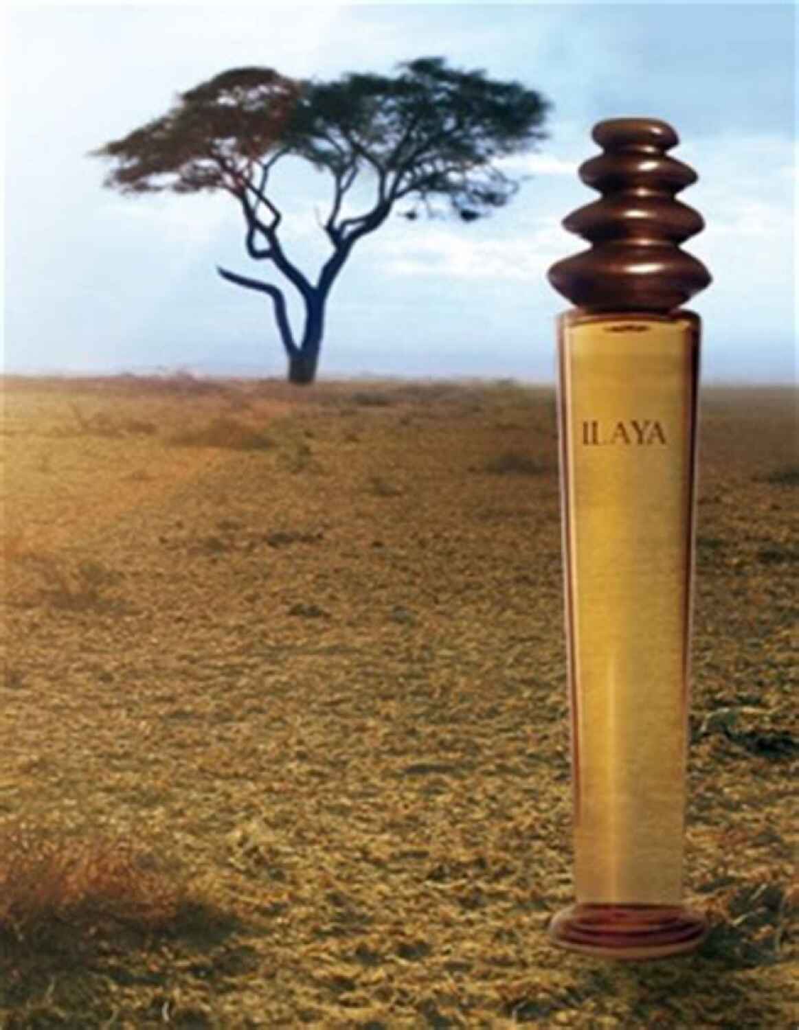 Ilaya, Isabel Derroisné - Infos et avis