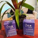 Swatch de missdanseusemodele95 : Ovachrome, Nutreven