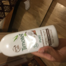 Swatch de Nisrinelilo21 : Timotei Pure, Timotei