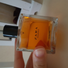 Swatch de Zynoo34 : Zara women oriental, Zara