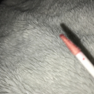 Swatch de Mnth : Gloss à l'extrait de framboise, Yves Rocher