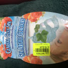 Swatch de Catarina : Spa argile glacière, Montagne Jeunesse