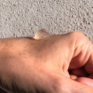 Swatch de Forty Beauty : Granité PM 2.5, --