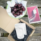 Swatch de Ilféebeau : La Crème du Temps, Absolution