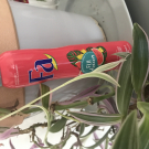 Swatch de jenifer_cerreda : Fiji dream, FA magic oil