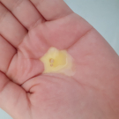 Swatch de L.Honey : Le Shampoing très Doux aux Oeufs, Dop