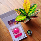 Swatch de elodie91paul : LUNA mini 3, Foreo