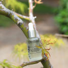 Swatch de peaudane : Le Sérum Renaissance, Mademoiselle Saint Germain