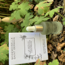 Swatch de Chic50something : Le Sérum Renaissance, Mademoiselle Saint Germain