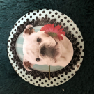 Swatch de Catarina : Miroir de poche chien, Amazon