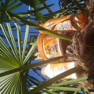 Swatch de maries6 : Masque réparateur HAIR FOOD PAPAYE, Garnier Fructis