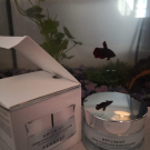 Swatch de Marilena : Crème Hydratante Biomoléculaire, Terraké