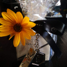 Swatch de Marilena : Crème Hydratante Biomoléculaire, Terraké