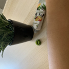 Swatch de Belefqihamina : Crème main énergisante mangue coriandre, Yves Rocher