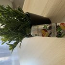 Swatch de Belefqihamina : Crème main énergisante mangue coriandre, Yves Rocher