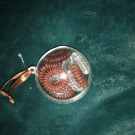 Swatch de Catarina : Élastique ressort en silicone, L?ACTION COSMETIQUE