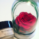 Swatch de mîssara : Crème Jeunesse Jour, La chênaie