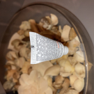 Swatch de Yous94 : Crèmes visages hydratantes BIO, Cultiv