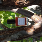 Swatch de dliseq : Vernis, Manucurist