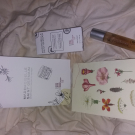 Swatch de beatrice236 : Contours des yeux au Concombre blanc du Potager du Roi, Mademoiselle Saint Germain