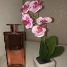 Swatch de edithbenfeghoul : Idôle, Lancôme