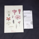 Swatch de AureAub : Contours des yeux au Concombre blanc du Potager du Roi, Mademoiselle Saint Germain