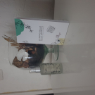 Swatch de Sissib6 : le Tonique, Mademoiselle Saint Germain