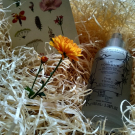 Swatch de raquelrolo13 : le Tonique, Mademoiselle Saint Germain