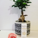 Swatch de CDC92 : Sérum Yeux Éclat, Marilou Bio