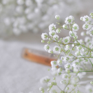 Swatch de Juste Sarah : Contours des yeux au Concombre blanc du Potager du Roi, Mademoiselle Saint Germain