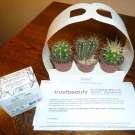 Swatch de Sylvie62690 : Crème d'éclat au romarin, Mademoiselle Saint Germain