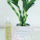 Swatch de Gg59200 : Gelée Démaquillante, Marilou Bio