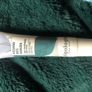 Swatch de Catarina : Regard des vagues, Algologie